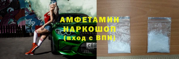 прущие грибы Ельня